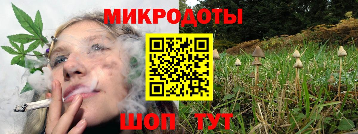 Псилоцибиновые грибы мухоморы Ногинск