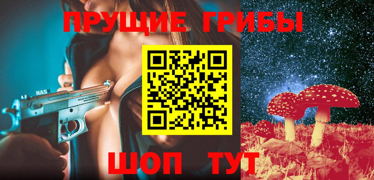Ногинск  Псилоцибиновые грибы MAGIC MUSHROOMS  даркнет сайт  Вход с VPN 